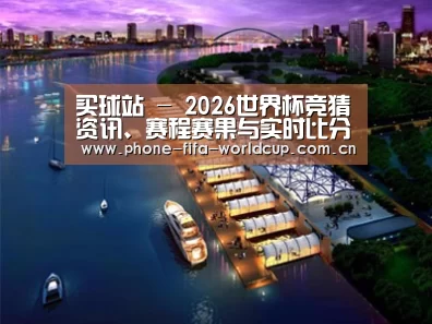案例展示八