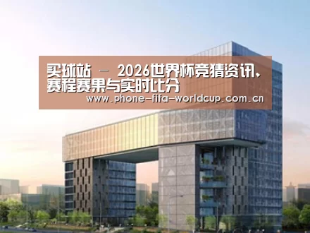 案例展示四